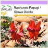 SAFLAX - Rachunek Papugi / Głowa Diabła - 20 Nasiona - Podgląd zdjęcia produktu 7