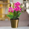 Santino Arte Pflanztöpfe Ø 13.5 cm, H 12.5 cm Gold/Schwarz Produktbild-Vorschau 6