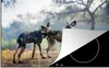 KitchenYeah© Herdabdeckplatte Afrikanischer Wildhund Produktbild-Vorschau 1