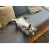 Aumüller Katzenspielangel WOOZLE - mit Katzenminze Produktbild-Vorschau 4