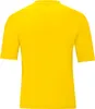 Trikot Team KA JAKO Produktbild-Vorschau 2