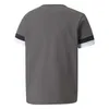 Puma Teamrise Trikot Kurzarm Kinder - Grau Produktbild-Vorschau 2