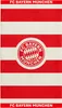 FC Bayern Handtuch gestreift rot/weiß Produktbild-Vorschau 2