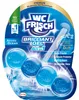 Henkel BRILLIANT GEL All in 1 WC-Duftspüler Arctic Ocean 42 Produktbild-Vorschau 2