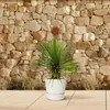 Lilia palmowa Yucca rostrata na trzonku Ø30 cm ↕70 cm – Podgląd zdjęcia produktu 4