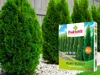 Thuja Dünger Spezialdünger Für Lebensbaum Zypressen Produktbild-Vorschau 5