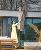 LC Garden Schutzhülle für Sonnenschirme XXL grau 70x275cm Produktbild-Vorschau 5