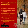 Hagebutten ganze Früchte getrocknet 5 kg – Mit viel Vitamin Produktbild-Vorschau 6