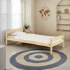 A bedroom scene with a single bed, a round rug, and shelves on the wall.