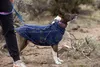 Ruffwear Climate ChangerTM Fleece Jacket, Farbe:Galaxy, Produktbild-Vorschau 14