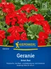 Kiepenkerl Geraniensamen Orbit Rot F1 Pelargonium zonale 10 Produktbild-Vorschau 1