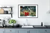 MuchoWow® MuchoWow® Gerahmtes Poster Wasser - Kirsche - Produktbild-Vorschau 4