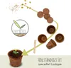 Kit di avviamento per bonsai con eBook  - Set di vasi di Anteprima dell’immagine prodotto 5
