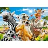 CASTORLAND Afrikanisches Selfie-Puzzle 500 Teile Produktbild-Vorschau 2