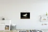 MuchoWow® Textilposter Pferd - Sand - Weiß 60x40 cm mit Produktbild-Vorschau 2