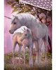 Baumwollbettwäsche 140x200 Einhorn Produktbild-Vorschau 2
