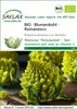 SAFLAX - BIO - Květák - Romanesco - Brassica oleracea var. Náhled obrázku produktu 11