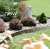 Prosperplast Plastový zahradní obrubník 3,9m, 187mm IBWI Náhled obrázku produktu 2