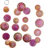 Capiz-Girlande Multi Permutt 180 cm Pink 2er Set Produktbild-Vorschau 10