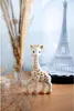 Sophie la girafe® (Geschenkktn. weiß) Produktbild-Vorschau 21