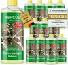 ABACUS® Steinreiniger Extrem, intensiver Steinreiniger für Produktbild-Vorschau 1