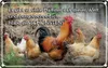 vianmo Blechschild 20x30 cm es gibt so viele Hühner und Produktbild-Vorschau 1