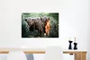 MuchoWow® Poster Schottische Highlander - Wald - Tiere Produktbild-Vorschau 5