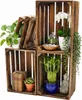 Obstkiste 40 x 30 x 25 cm  3er SET Geflammt Produktbild-Vorschau 1