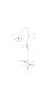 Dornbracht Shower Pipe Tara. chrom, 34459892-00 Produktbild-Vorschau 3