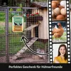 LANOLU Retro Blechschild Hühnerstall - Wer sagt Glück, Produktbild-Vorschau 2