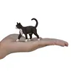 Mojo Fun Cat, 3 rok / roky, FARMLAND, Čierna, Biela, Náhľad obrázku produktu 4