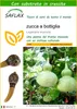 SAFLAX  -  zucca a bottiglia - 15 semi - Con substrato - Anteprima dell’immagine prodotto 1