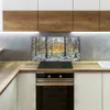 Coloray Spritzschutz aus Glas 100x50  Wandkunst Produktbild-Vorschau 3