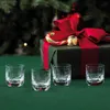 Christmas-themed still life with a gift-wrapped present, candy cane, and four schnapps glasses. Náhled obrázku produktu