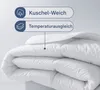 Bettdecke Steppbettdecke 100% Microfaser 4 Jahreszeiten Produktbild-Vorschau 3
