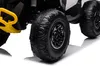 FINOOS Kinderquad Kinder Elektro-Quad, CAM-AM RENEGADE 24V Produktbild-Vorschau 9