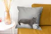 MuchoWow® Zierkissen Sofakissen Wohnzimmer Dekokissen 45x45 Produktbild-Vorschau 6