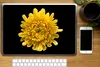 MuchoWow® Laptop Aufkleber Sticker Cover Eine gelbe Produktbild-Vorschau 2