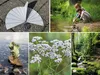 GEOlino Experimentierkasten Natur entdecken und erforschen Produktbild-Vorschau 12