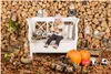 Teddy-Hermann Teddy Hermann Hibou, beige, 20 cm 941545 Voir les images du produit 7