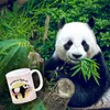 Panda auf einem Ast Kaffeebecher Lass mich in Ruhe ok! in Produktbild-Vorschau 3