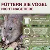 Swissinno Vogelfutterhaus Davos hellgrau Produktbild-Vorschau 7