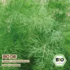 Samenliebe  Dill Samen | Küchenkraut & Gurkenkraut - Produktbild-Vorschau 4