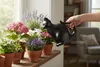 Esschert Design Gießkanne Katze, 3,138 l, Polyethylen, Produktbild-Vorschau 8