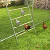 TRMLBE Perchoir pour poules 4 niveaux Grand support pour Voir les images du produit 7