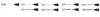 A series of numbered lines with pen nibs at the end, likely indicating different line weights or sizes. Podgląd zdjęcia produktu
