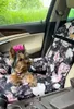 Domácí Zvířata Pes Autosedačka Nosič Koš Pes Náhled obrázku produktu 9