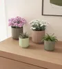 Artevasi Luna Pot, Grün, 3,47 l, 185 mm, 170 mm, 6 Stück(e) Produktbild-Vorschau 4