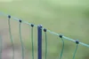 AKO fencing Geflügelnetz Premium elektrifizierbar, L x H 50 Produktbild-Vorschau 10