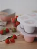 Beaba Aufbewahrungsbehaelter Multiportions aus Silikon 6 x Produktbild-Vorschau 12